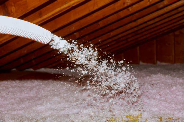 Professional Insulation Contractor in Zachary, LA