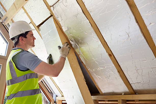 Types of Insulation We Offer in Zachary, LA
