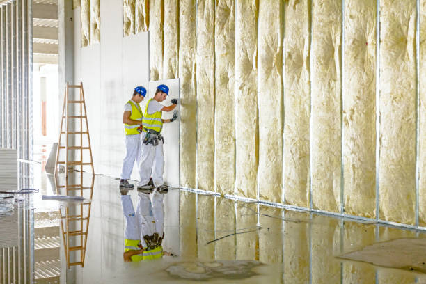 Best Specialized Insulation Services in Zachary, LA